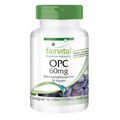 OPC 60 mg Kapseln